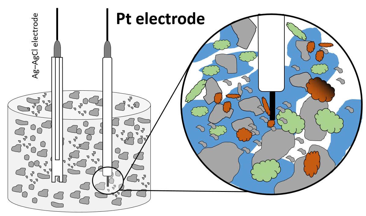 Redox Electrode Kristof Dorau